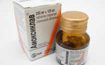 Дозировка амоксиклава для котов суспензия. Амоксиклав для кошек дозировка