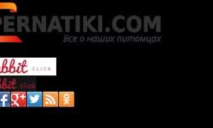 Самые носатые животные: кому принадлежит рекорд