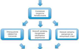 Коронавирус у домашних животных: виды, симптомы, лечение, анализы