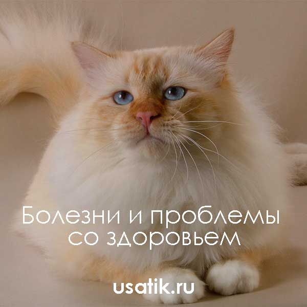 Болезни и проблемы со здоровьем