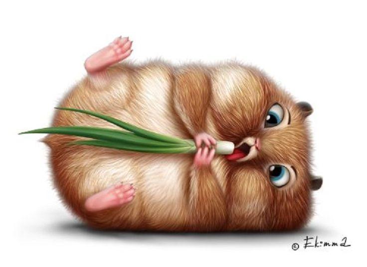 Детские короткие стишки про хомячков