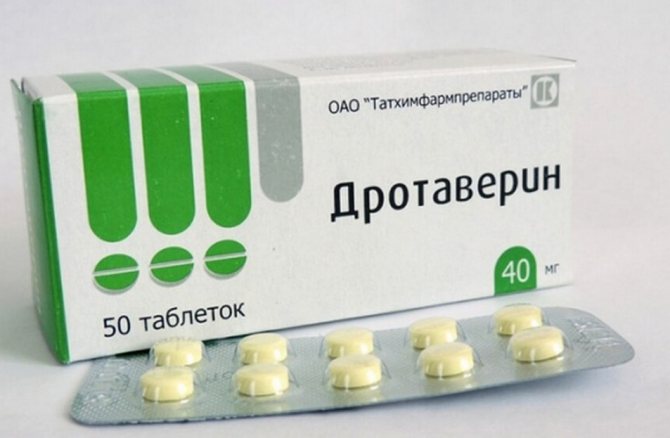 «Дротаверин» для кота