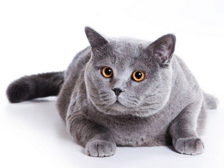 Факторы риска