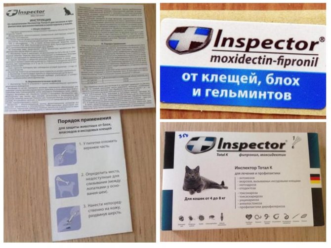 Капли Инспектор для кошек