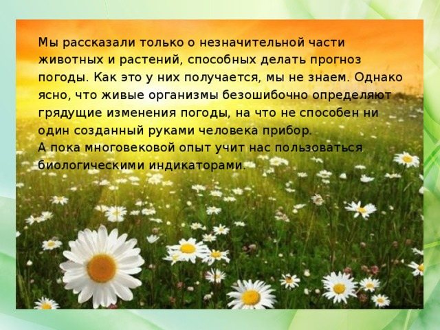 Мы рассказали только о незначительной части животных и растений, способных делать прогноз погоды. Как это у них получается, мы не знаем. Однако ясно, что живые организмы безошибочно определяют грядущие изменения погоды, на что не способен ни один созданный руками человека прибор. А пока многовековой опыт учит нас пользоваться биологическими индикаторами.