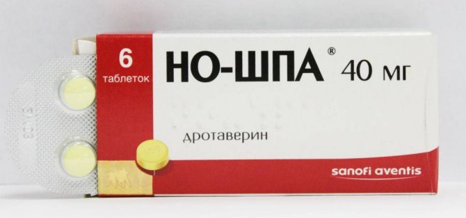 Папаверин для кошек инструкция по применению