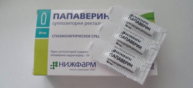 Папаверин для кошек инструкция по применению