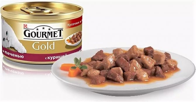 Питание домашних кошек