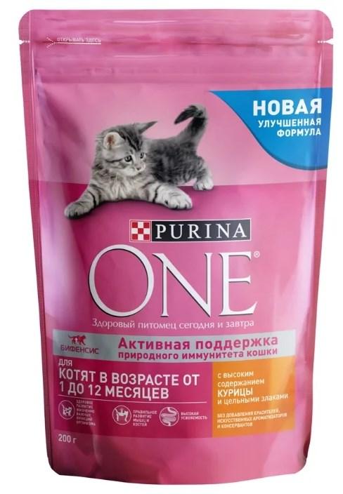 Рейтинг лучших кормов для котят разного класса: сухие корма и паучи - какой лучше выбрать