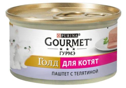 Рейтинг лучших кормов для котят разного класса: сухие корма и паучи - какой лучше выбрать