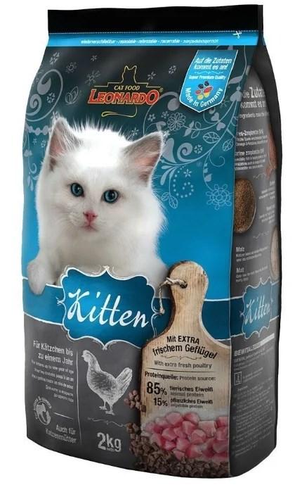 Рейтинг лучших кормов для котят разного класса: сухие корма и паучи - какой лучше выбрать