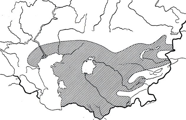 Степная агама