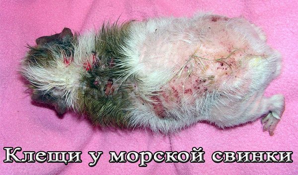 Запущенная болезнь