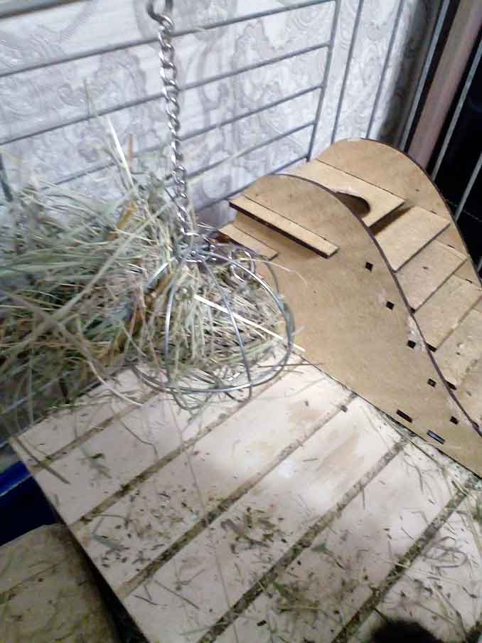 Клетка для содержания белочек дегу