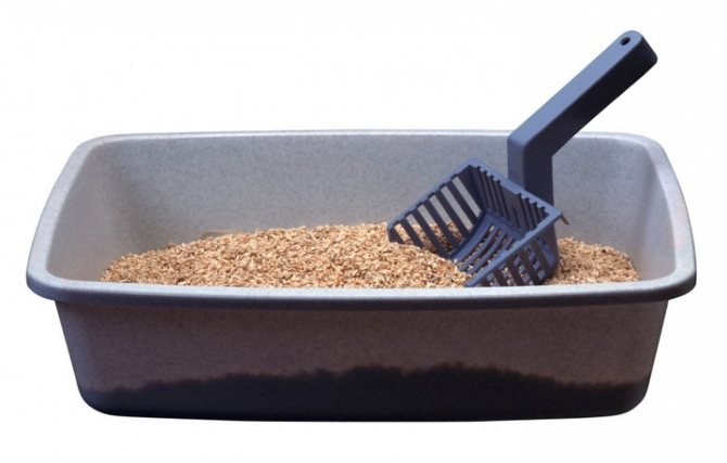 Наполнитель кошачьего туалета