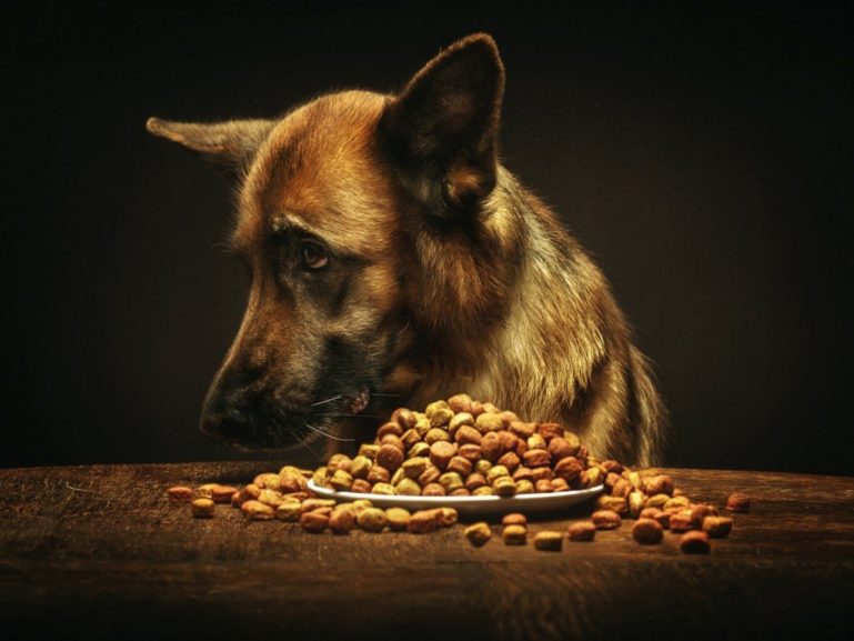 Сухой корм для овчарки