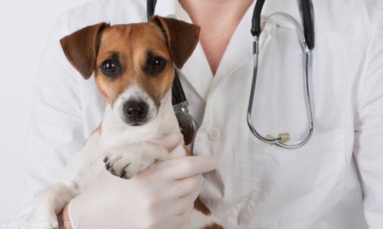 Правильный диагноз поставит врач