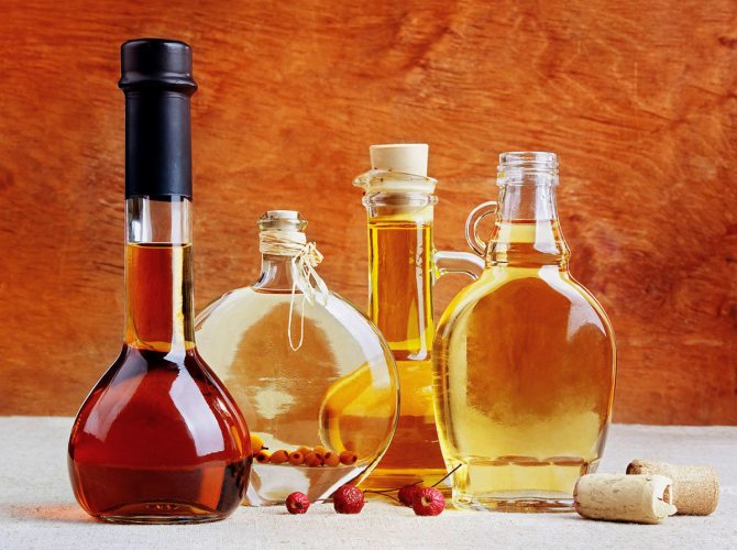 Уксус поможет отучить вашего домашнего питомца гадить не в лоток