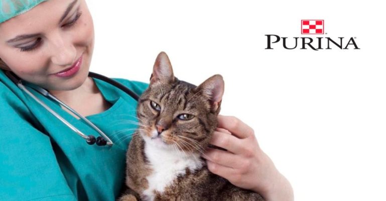 ветеринар отзывы