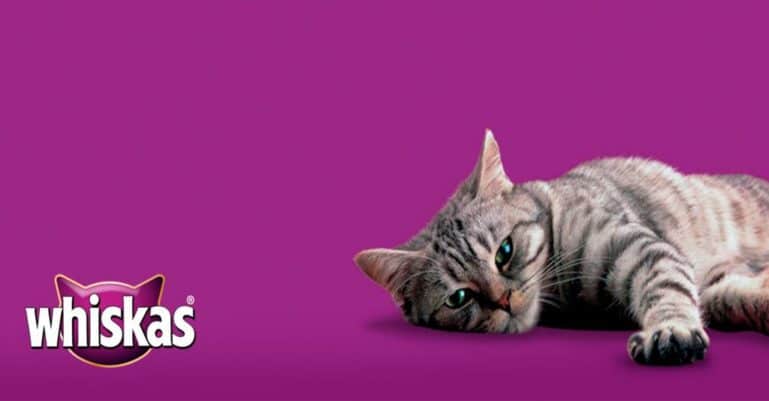 вискас корм для кошек