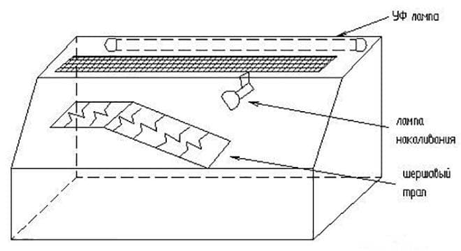 обустройство акватеррариума обустройство акватеррариума