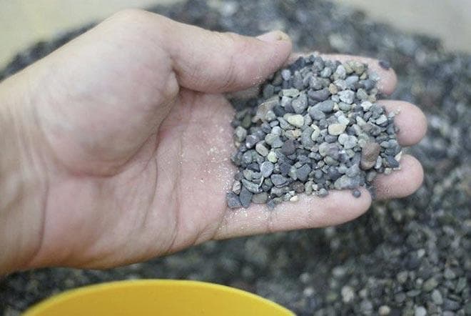 грунт в аквариуме с хирургами грунт в аквариуме с хирургами