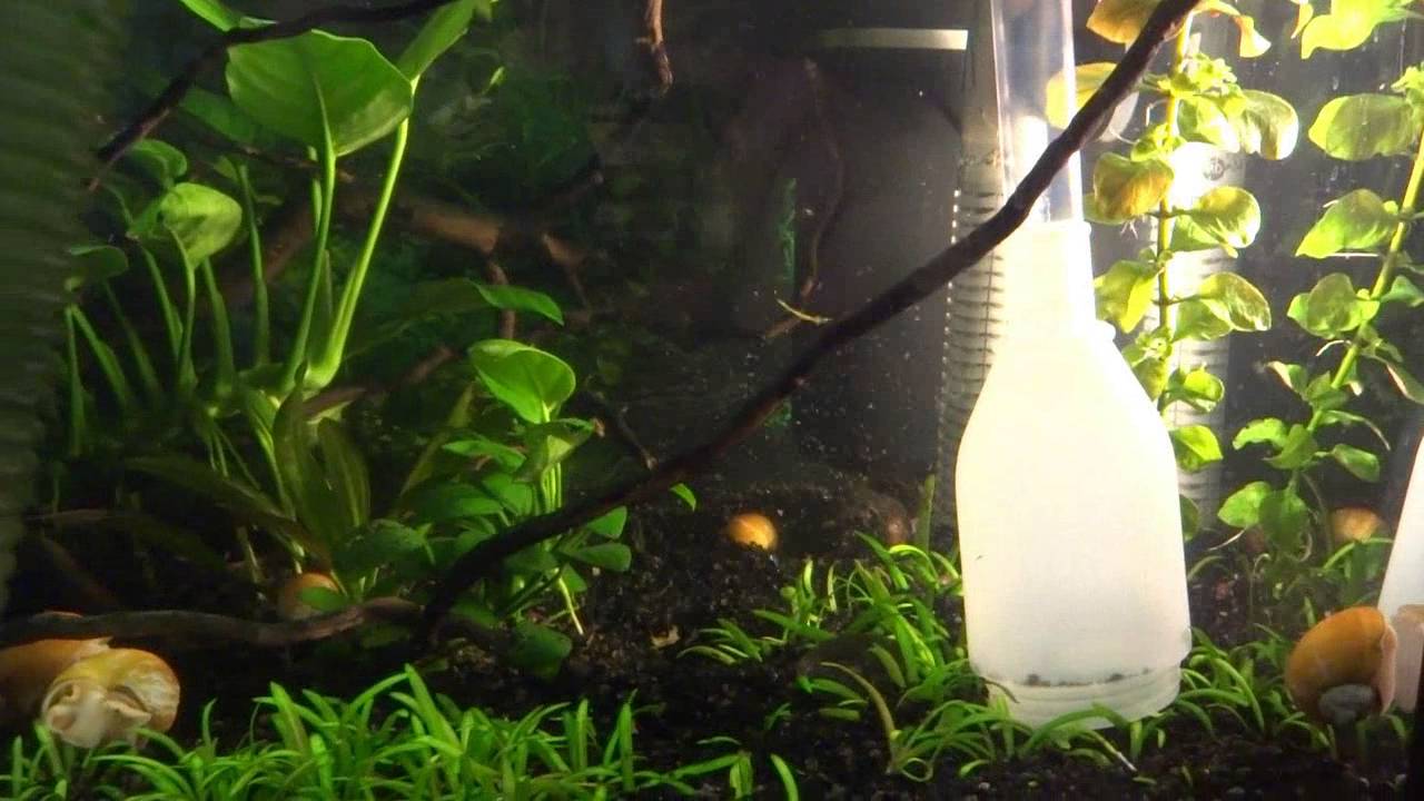 Чистим грунт