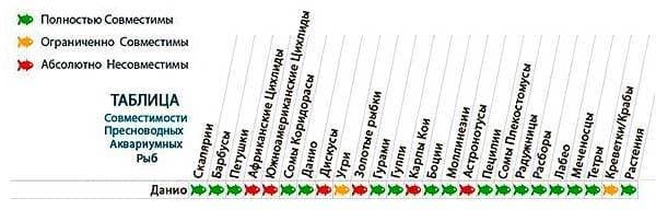Данио совместимость Данио совместимость