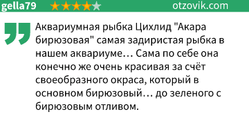 Отзыв1 Отзыв1