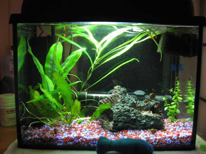 Подготовка аквариума Подготовка аквариума