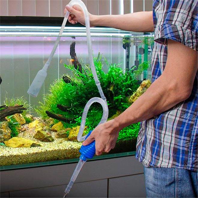 Подмена воды в аквариуме Подмена воды в аквариуме