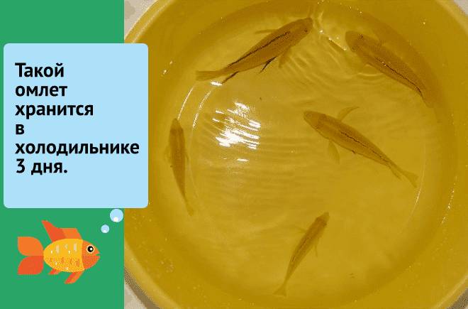 Рыбка Рыбка