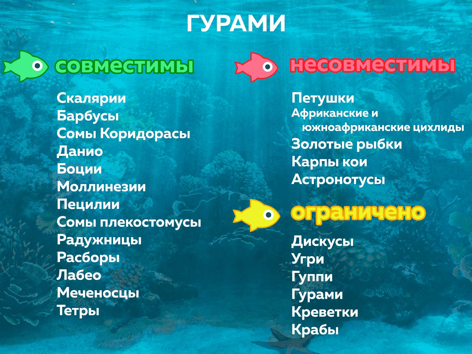 Совместимость гурами