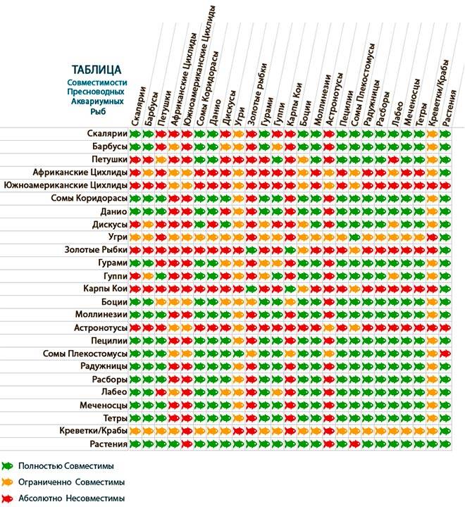 Совместимость рыбок Совместимость рыбок