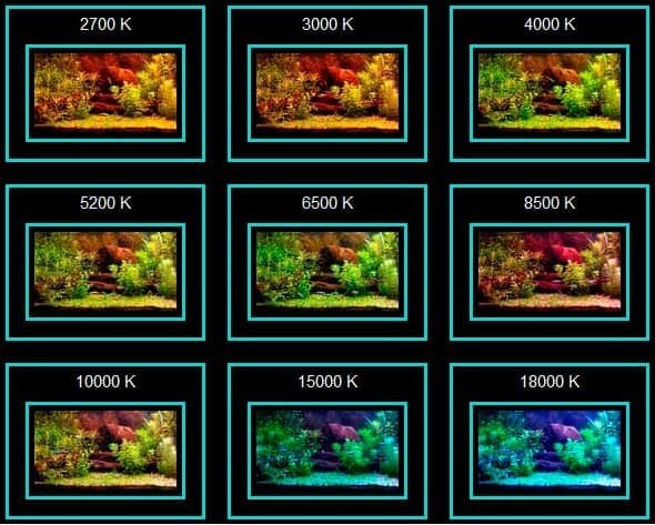 Цветовая температура Цветовая температура