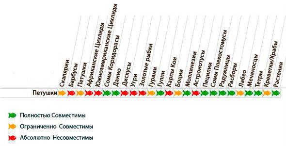 Таблица совместимости петушков