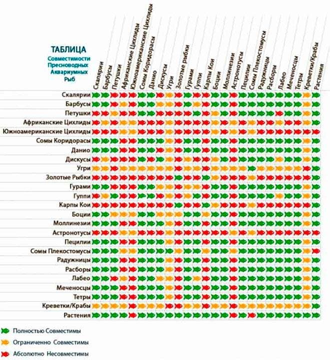 Таблица совместимости рыб