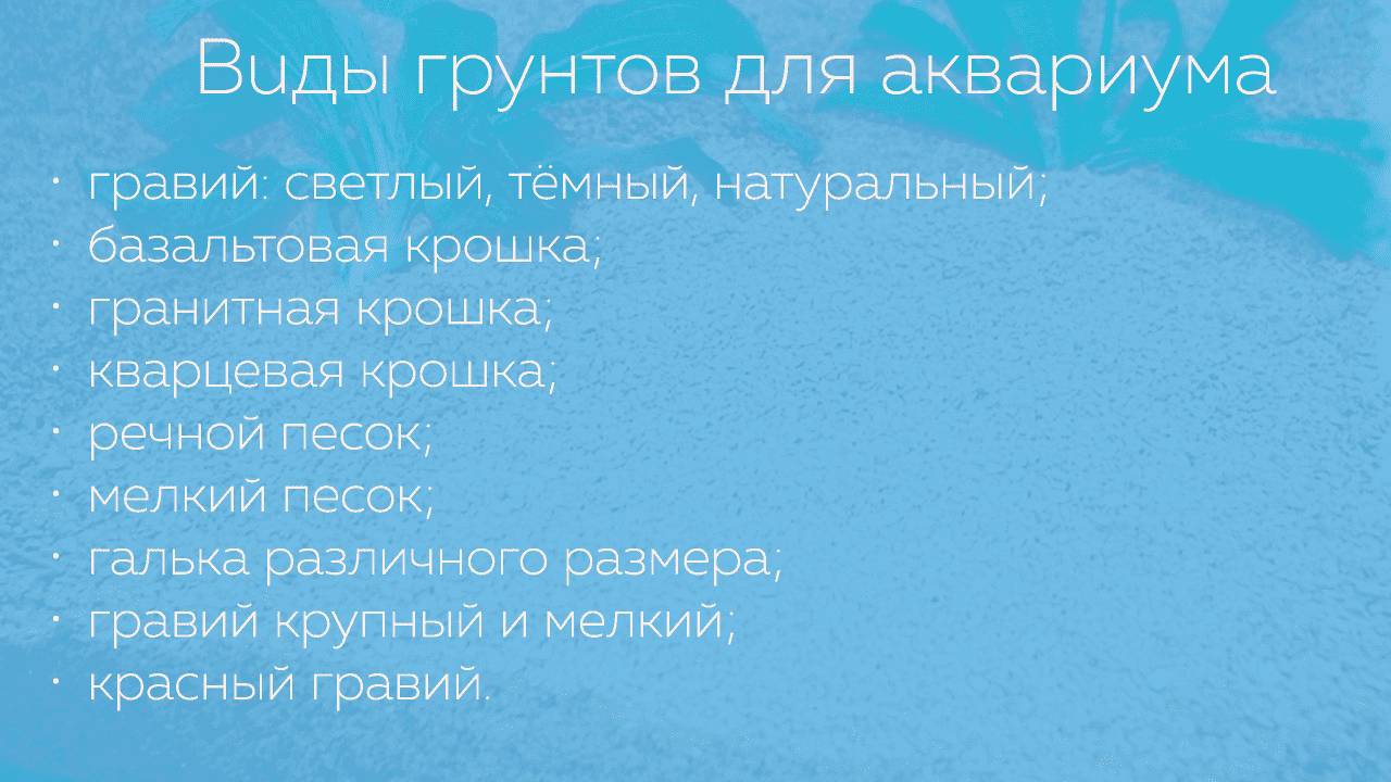 Виды грунтов для аквариума Виды грунтов для аквариума
