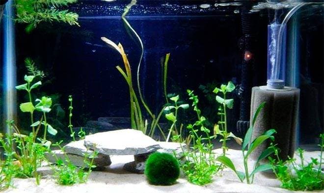 Внутренний фильтр Внутренний фильтр