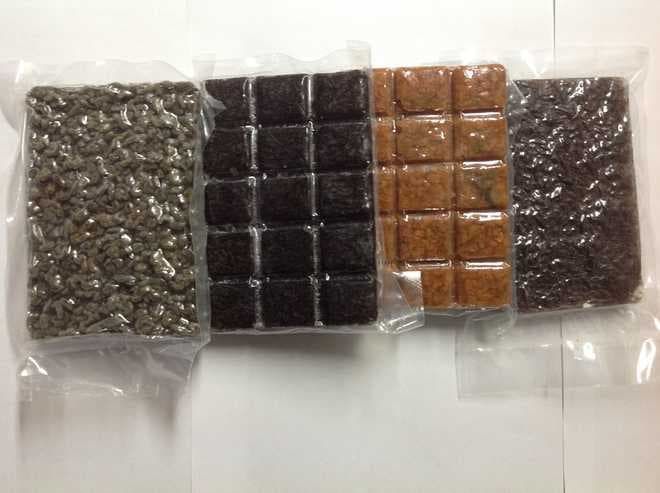 Замороженный корм