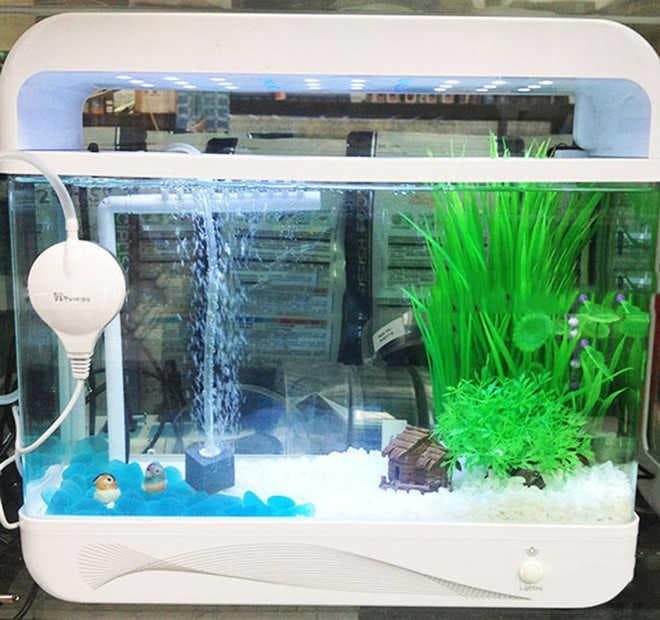 Аэрация аквариума Аэрация аквариума