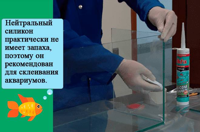 аквариум с помощью герметика и стекла аквариум с помощью герметика и стекла