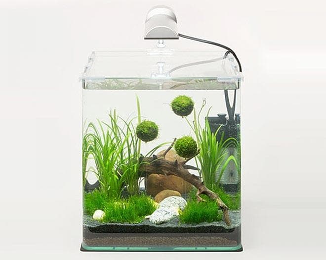 освещение в аквариуме освещение в аквариуме