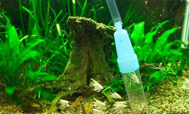 чистка грунта аквариума чистка грунта аквариума