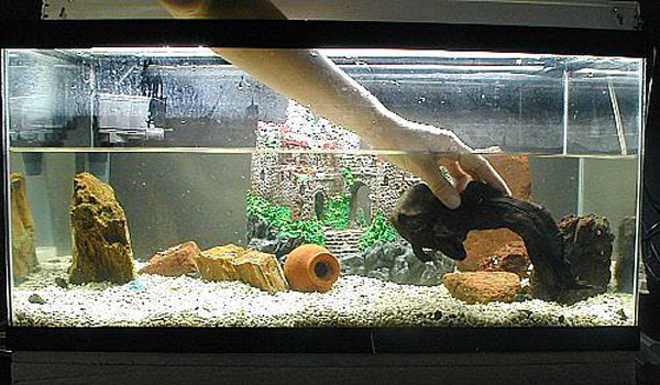 декорации для аквариума декорации для аквариума