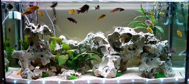 декорации в аквариуме декорации в аквариуме