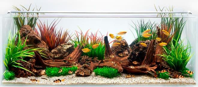 деревянные элементы деревянные элементы