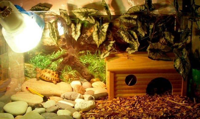 домик для черепахи домик для черепахи