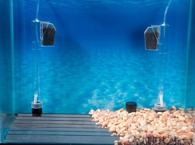 донный фильтр донный фильтр