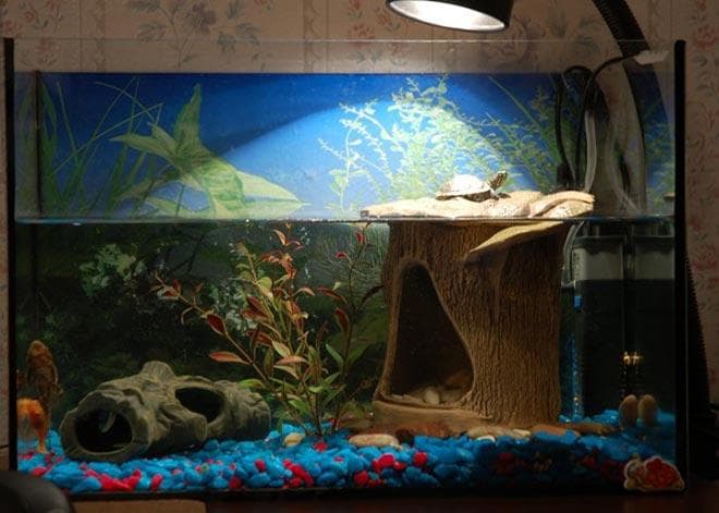 Декорации для акватеррариума Декорации для акватеррариума